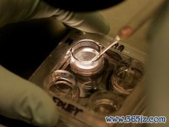 丹东试管婴儿助孕技术查询平台推荐