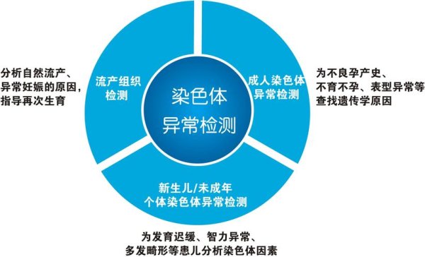 上海试管婴儿技术领先解析及成功率揭秘