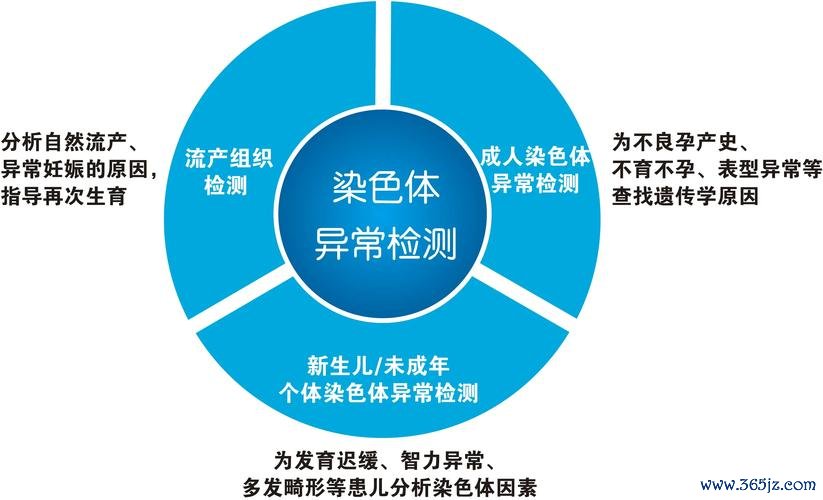 上海试管婴儿技术领先解析及成功率揭秘